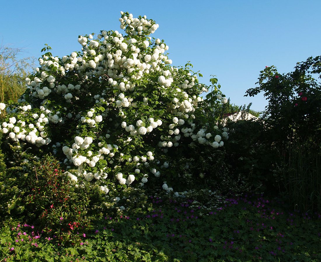 Garten- und Landschaftsbau Tollense GmbH - Referenzen