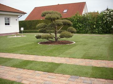 Gartenpflege