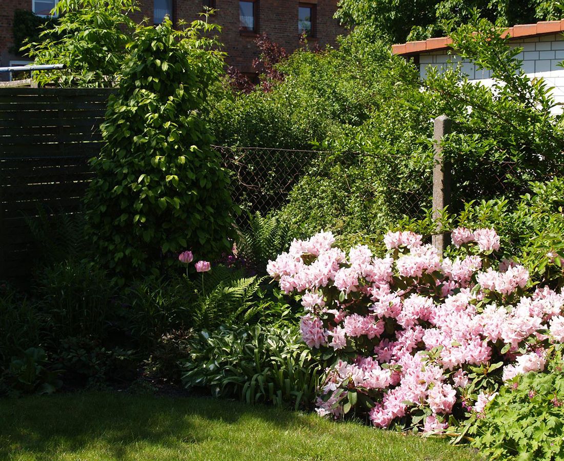 Garten- und Landschaftsbau Tollense GmbH - Referenzen